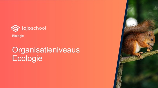 Organisatieniveaus
