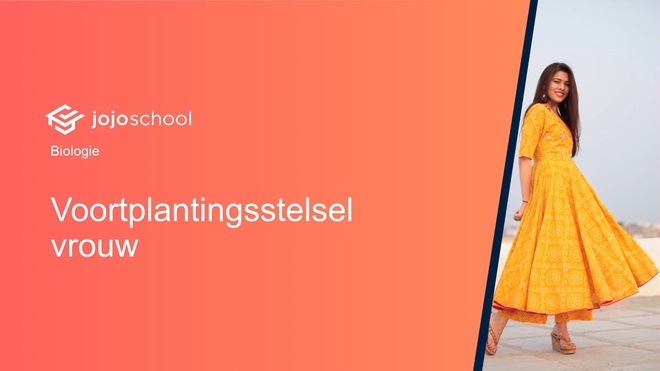 Voortplantingsstelsel vrouw