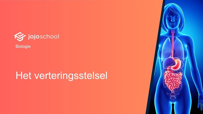 Het verteringsstelsel