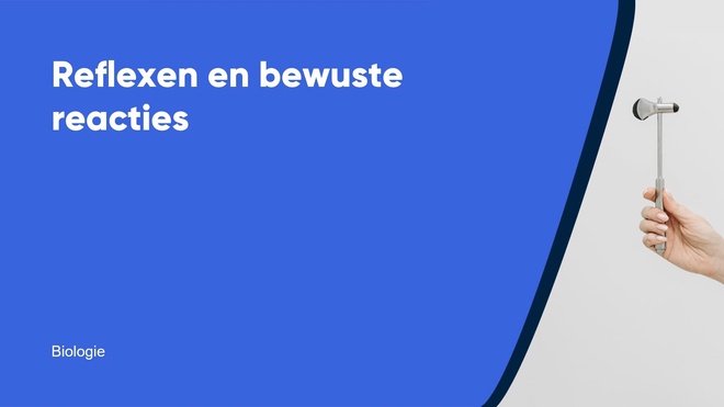 Reflexen en bewuste reacties