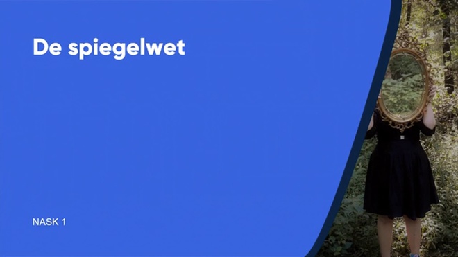 De spiegelwet