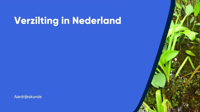 Verzilting in Nederland