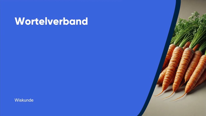 Wortelverband