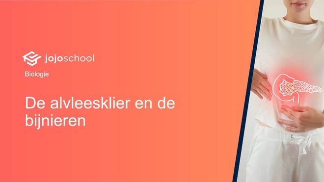 De alvleesklier en de bijnieren
