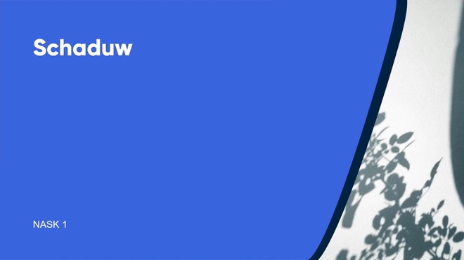 Schaduw