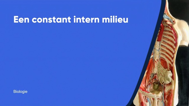 Een constant intern milieu