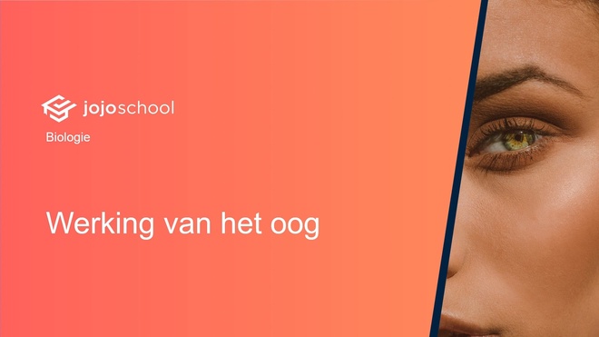 Werking van het oog