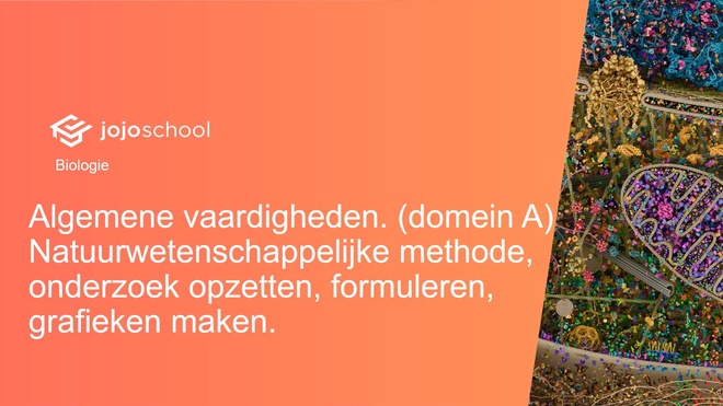 Algemene vaardigheden