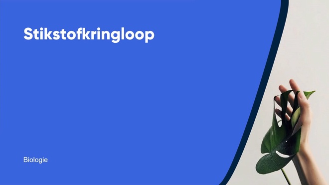 Stikstofkringloop