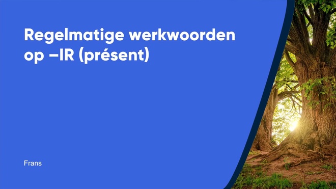 Regelmatige werkwoorden op -IR (présent)