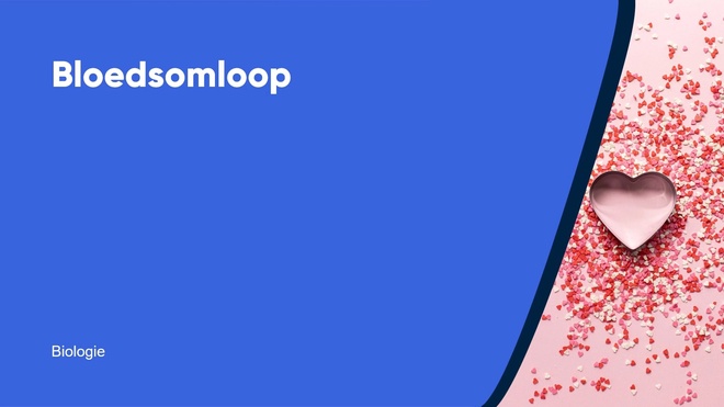 Bloedsomloop