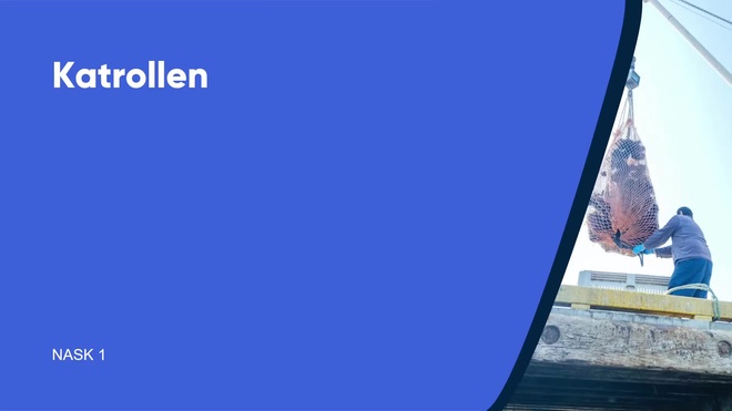 Katrollen