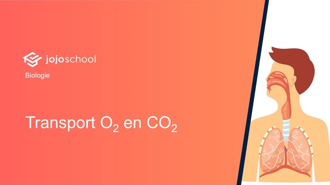 Transport O2 en CO2