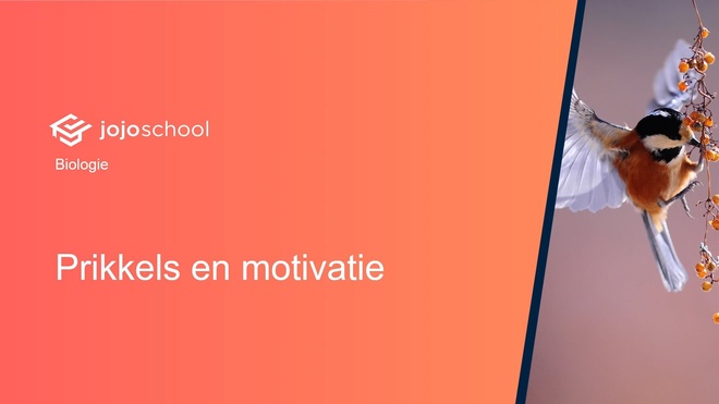 Prikkels en motivatie