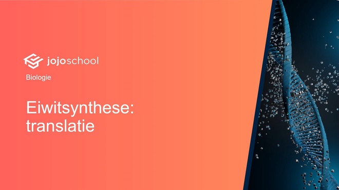 Eiwitsynthese translatie