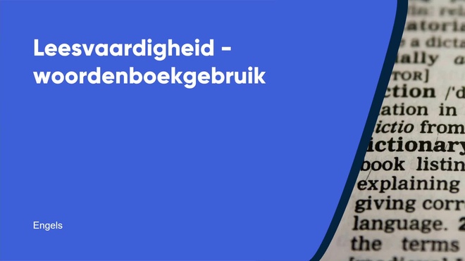 Woordenboekgebruik