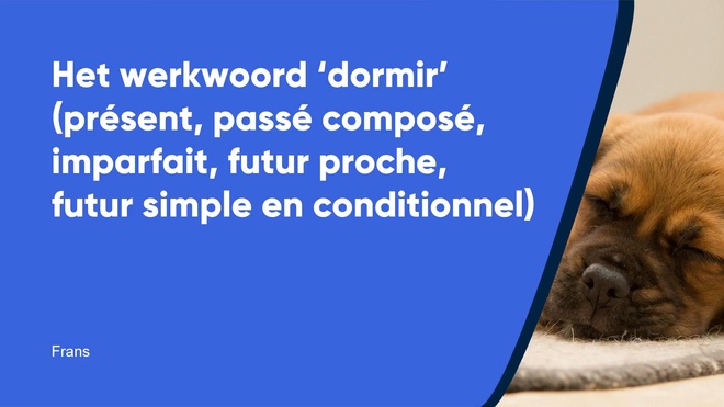 Dormir (présent, passé composé, imparfait, futur en conditionnel)