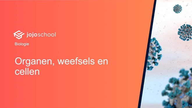 Organen, weefsels en cellen