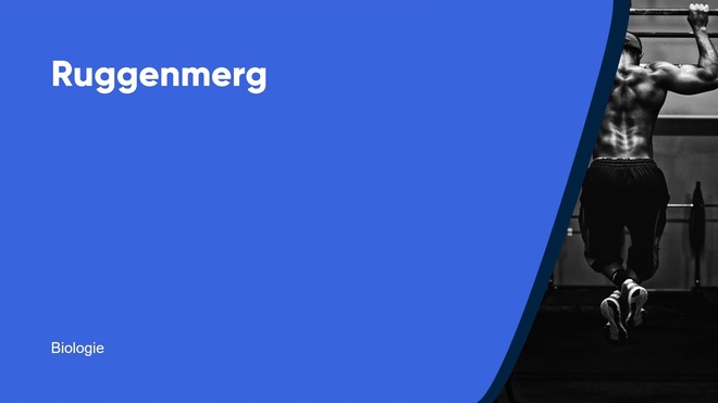 Ruggenmerg