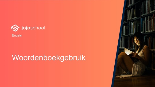 Woordenboekgebruik