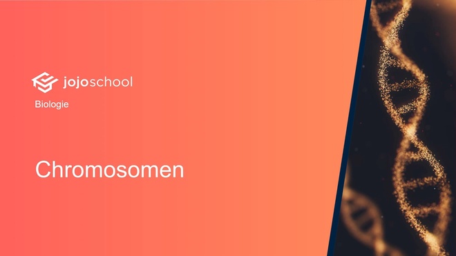 Chromosomen