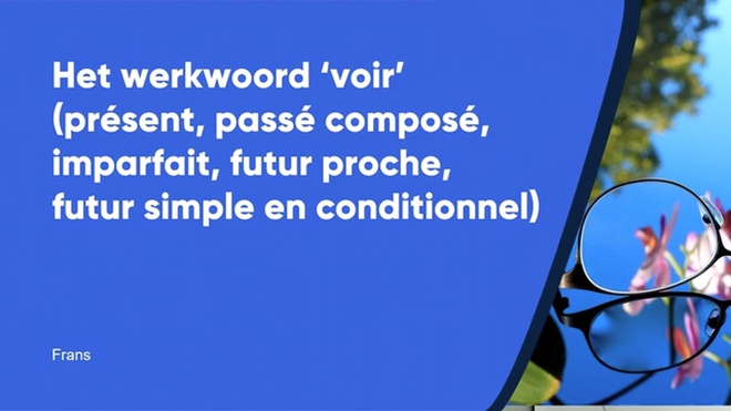 Voir (présent, passé composé, imparfait, futur en conditionnel)