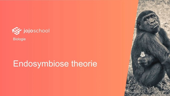Endosymbiose theorie