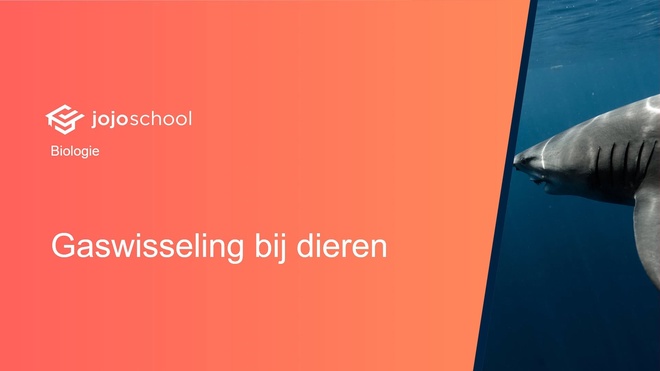 Gaswisseling bij dieren