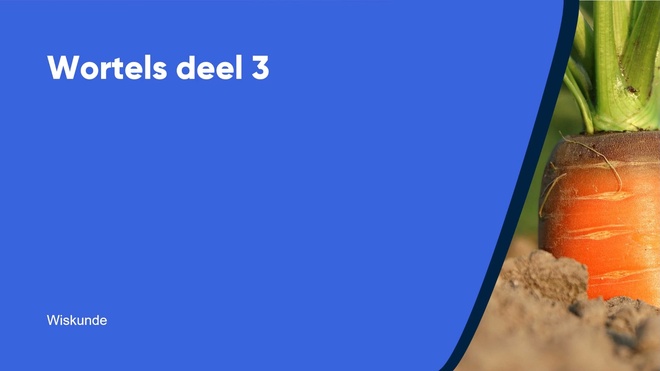 Wortels deel 3