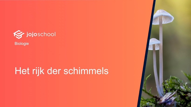 Het rijk der schimmels