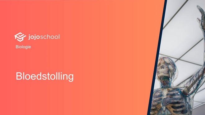 Bloedstolling