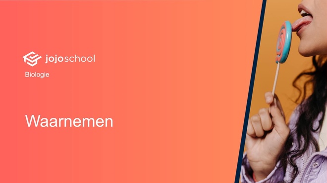 Waarnemen