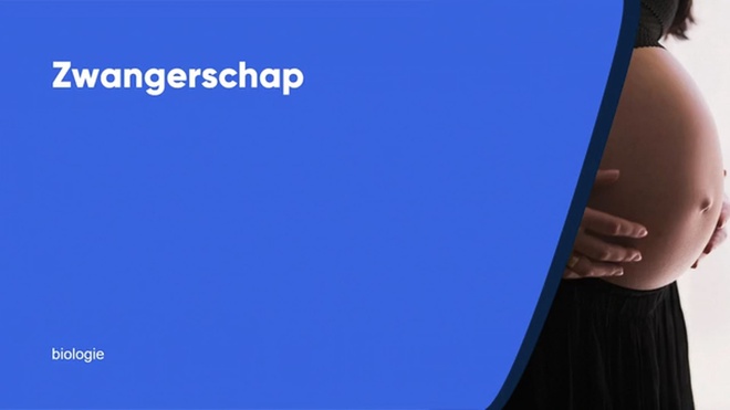 Zwangerschap