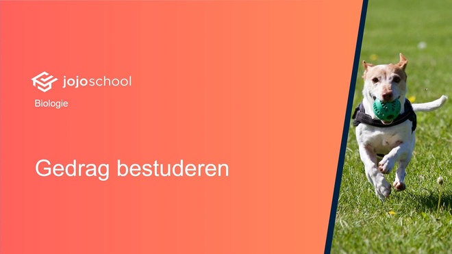 Gedrag bestuderen