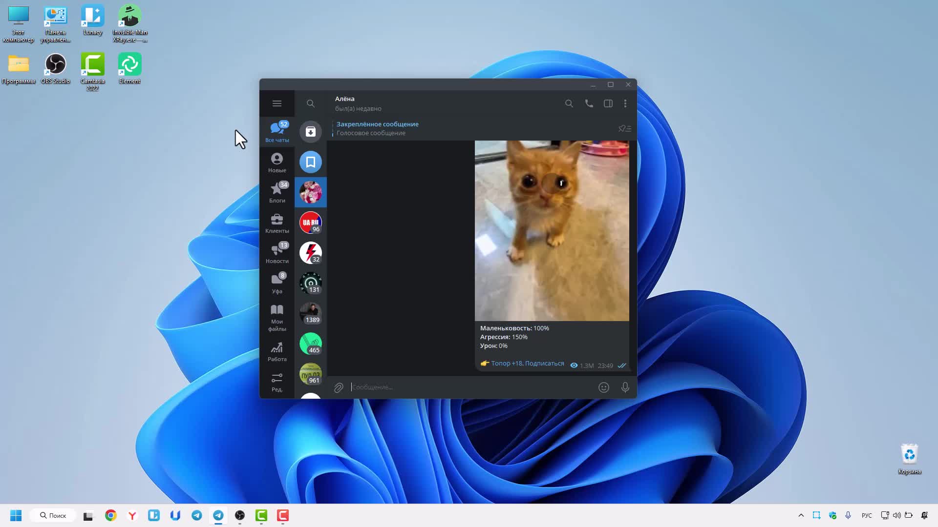 Video preview