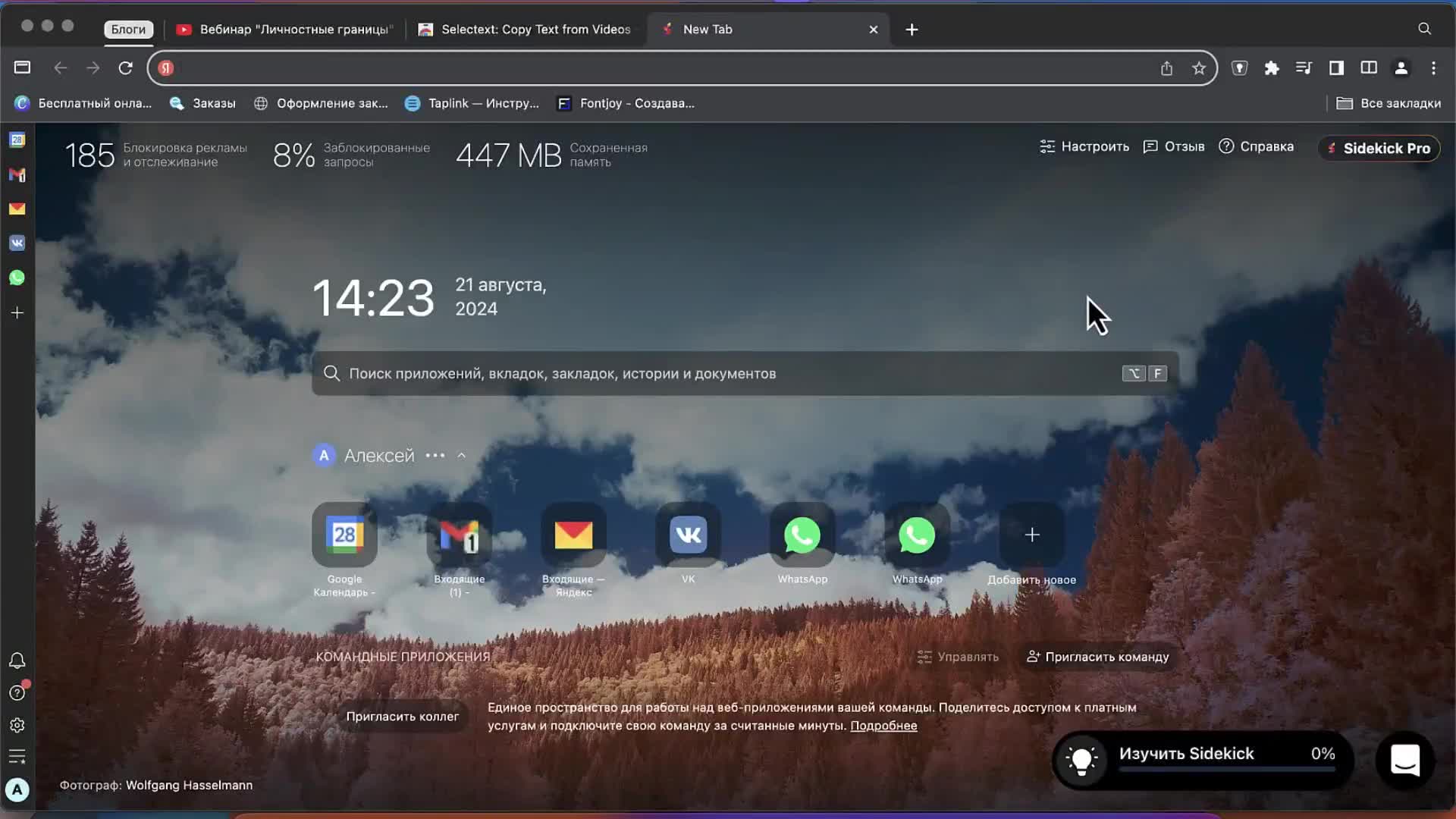 Video preview