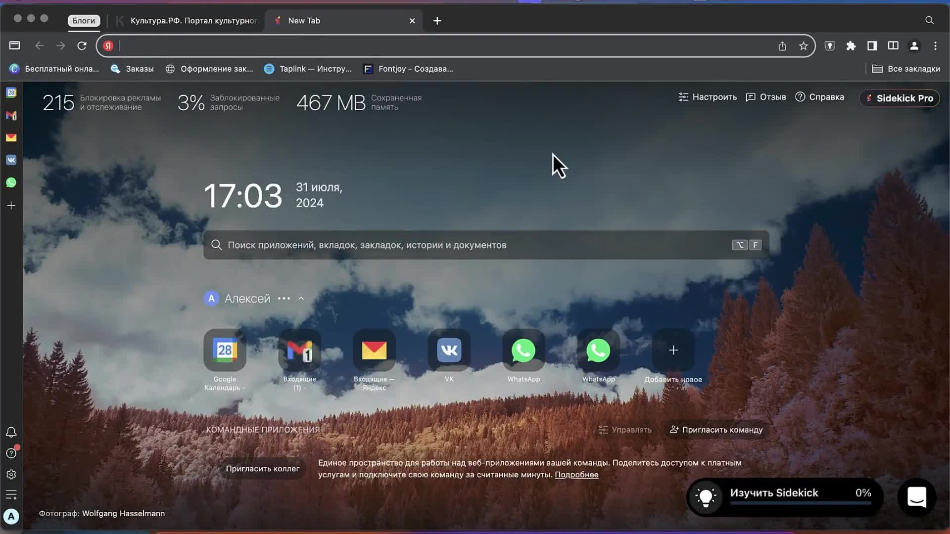 Video preview