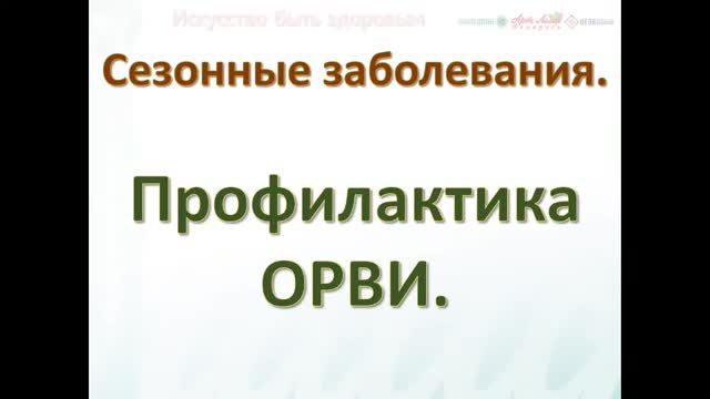 Video preview