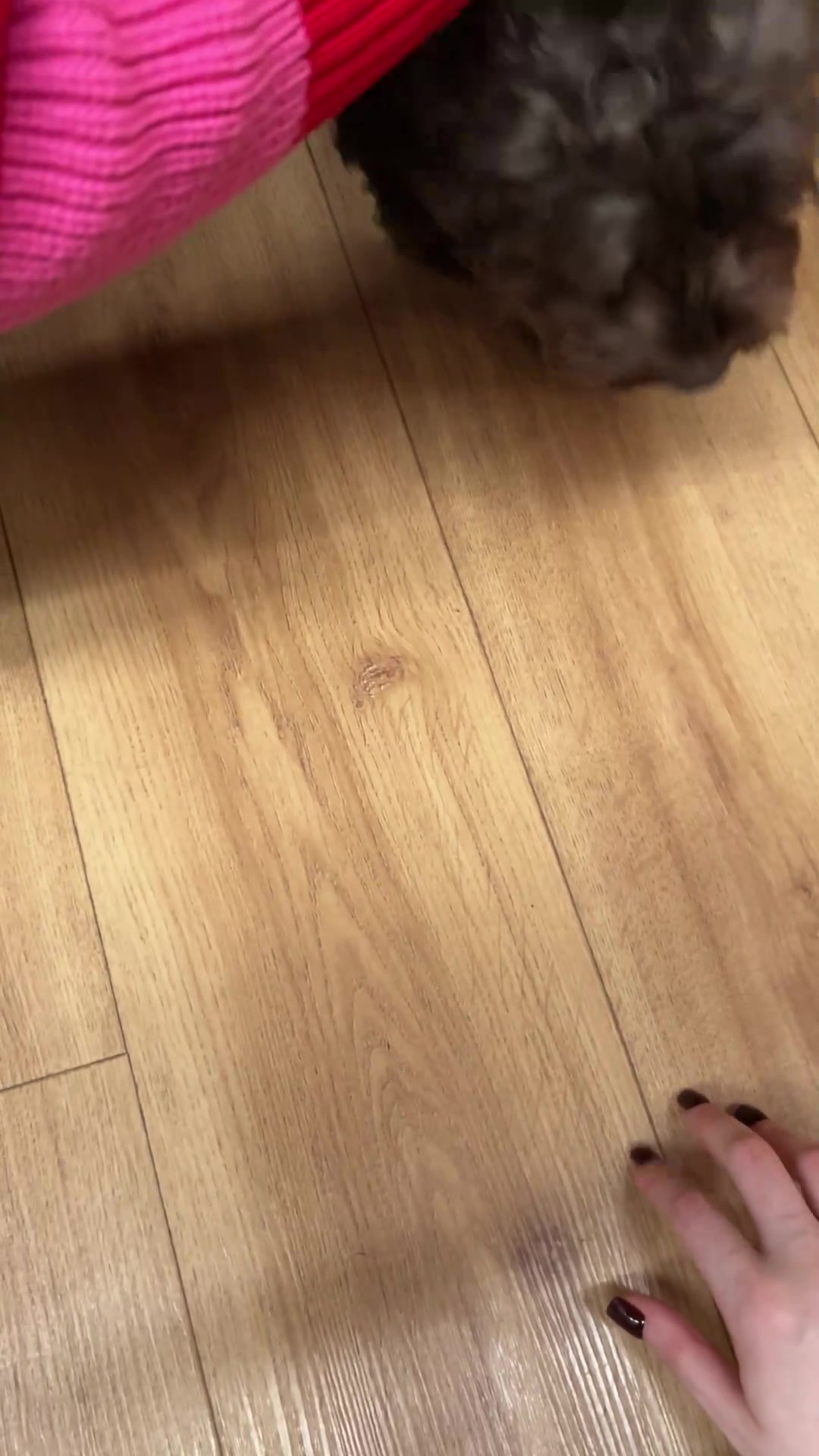 Video preview