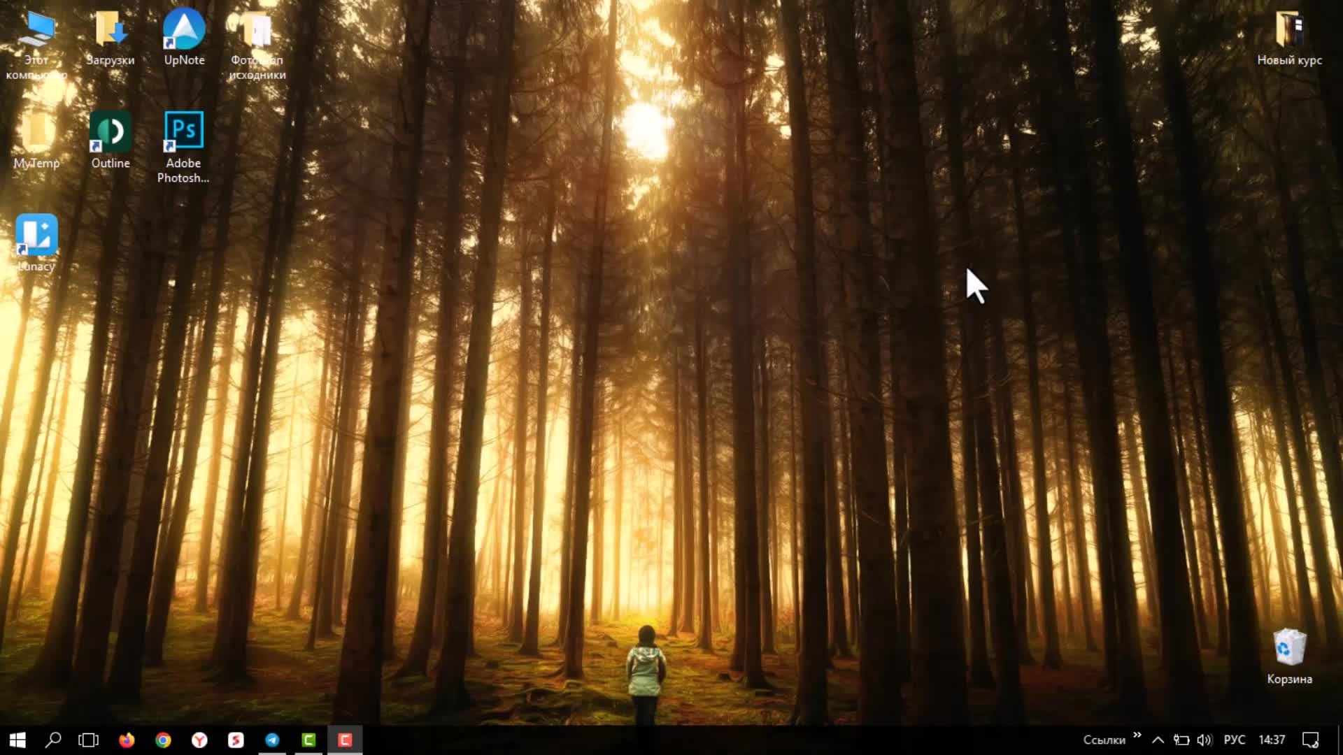 Video preview