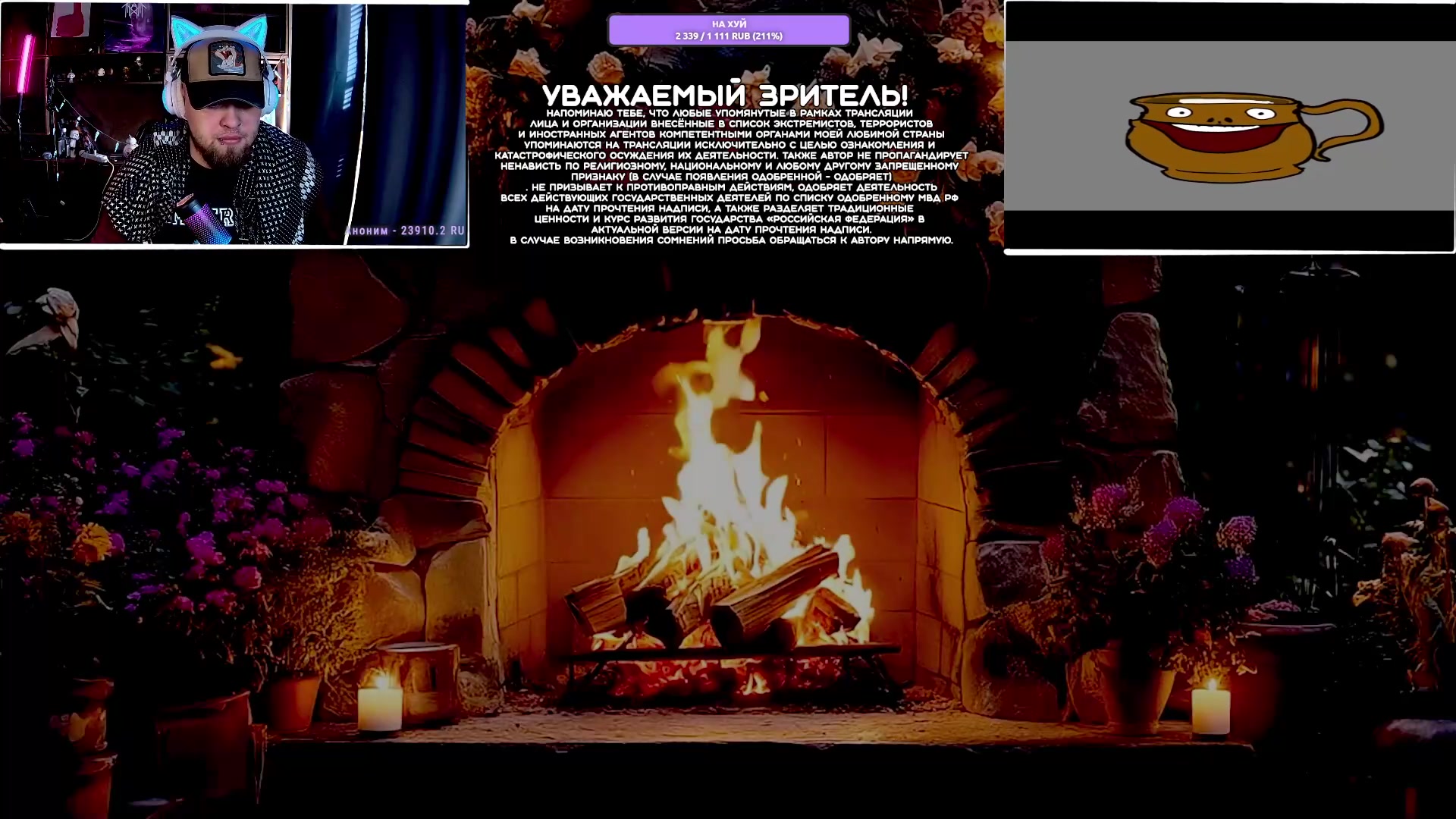 Video preview