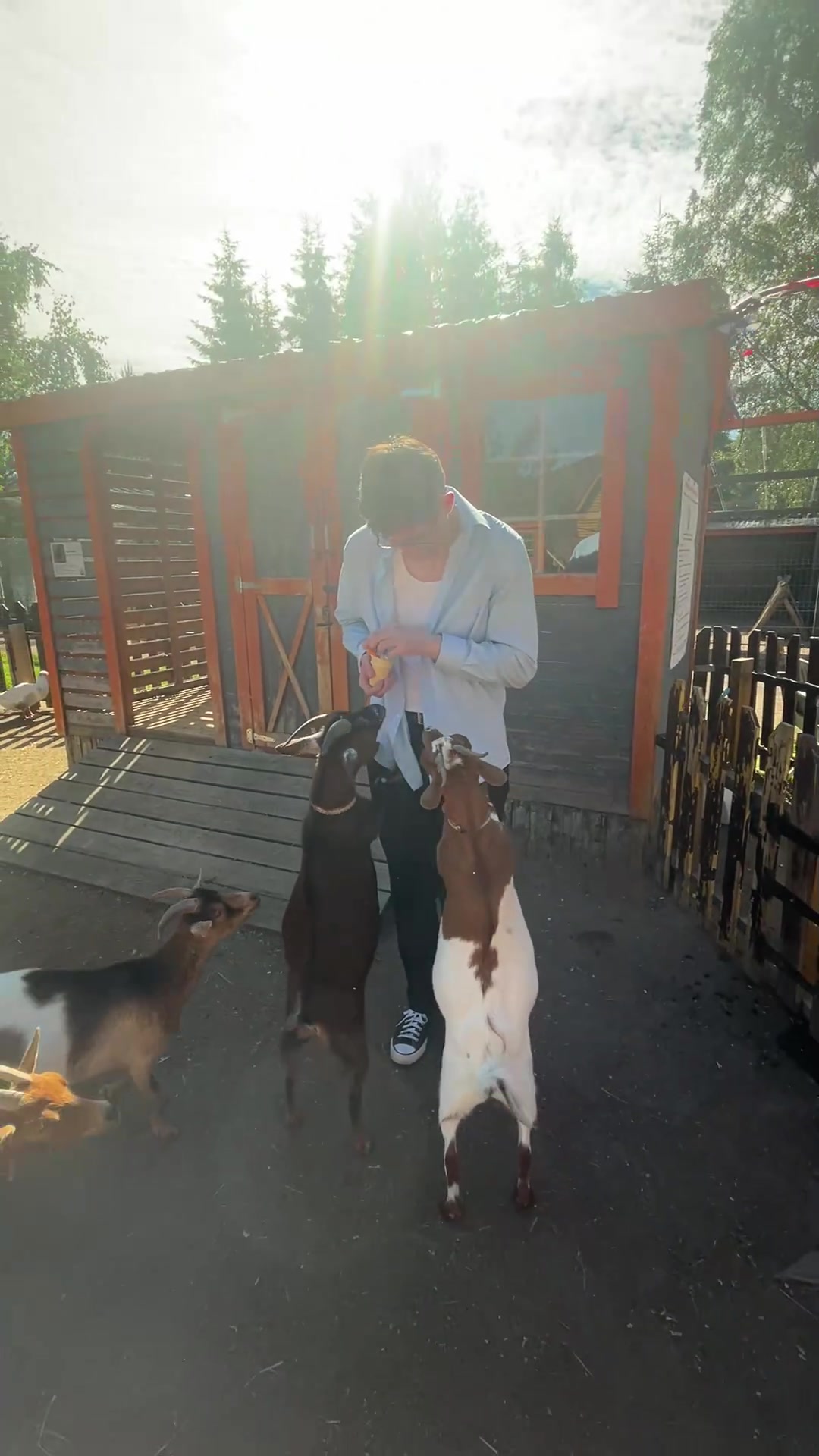Video preview