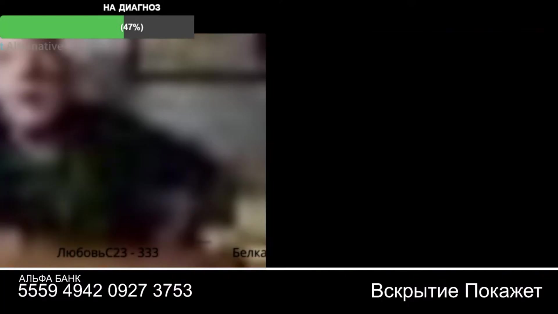 Video preview