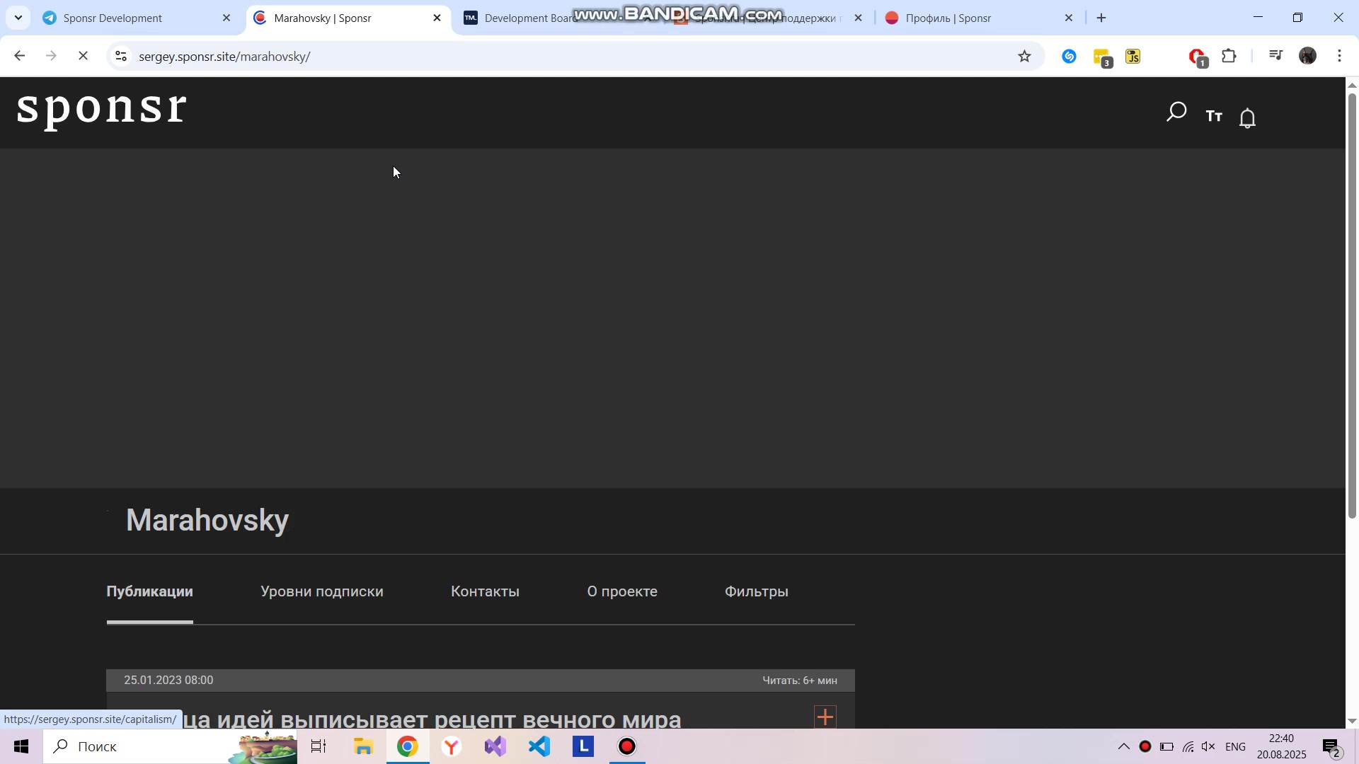 Video preview