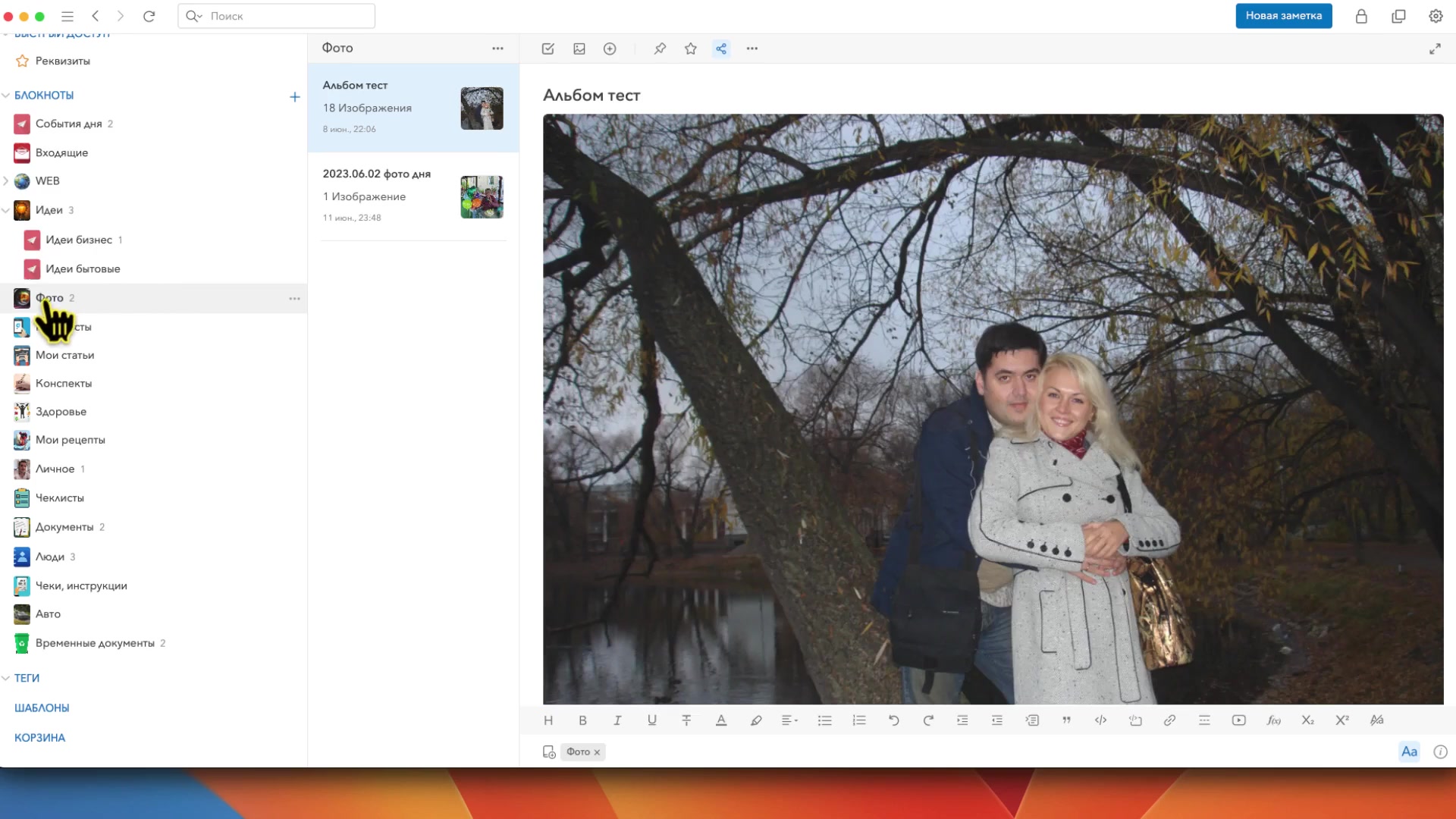 Video preview