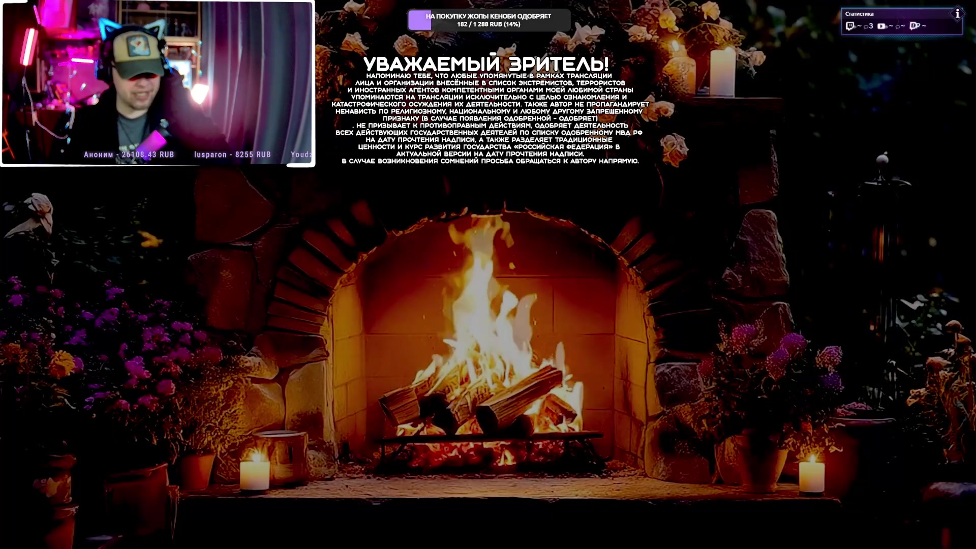 Video preview