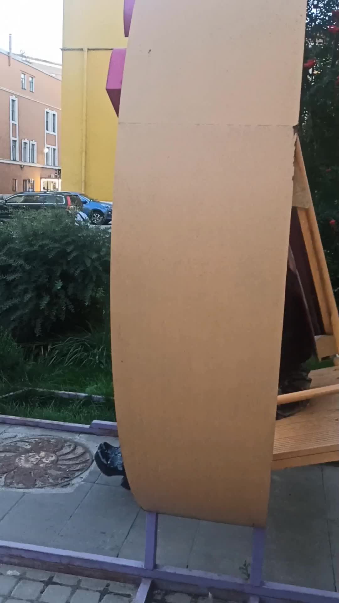 Video preview