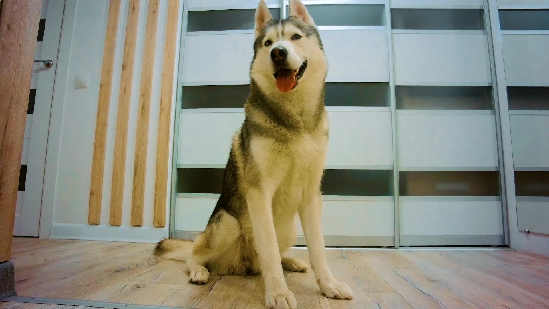 Video preview