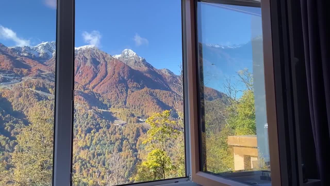 Video preview