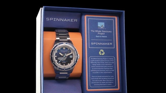 Spinnaker SP-5128-33